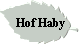 Hofhaby